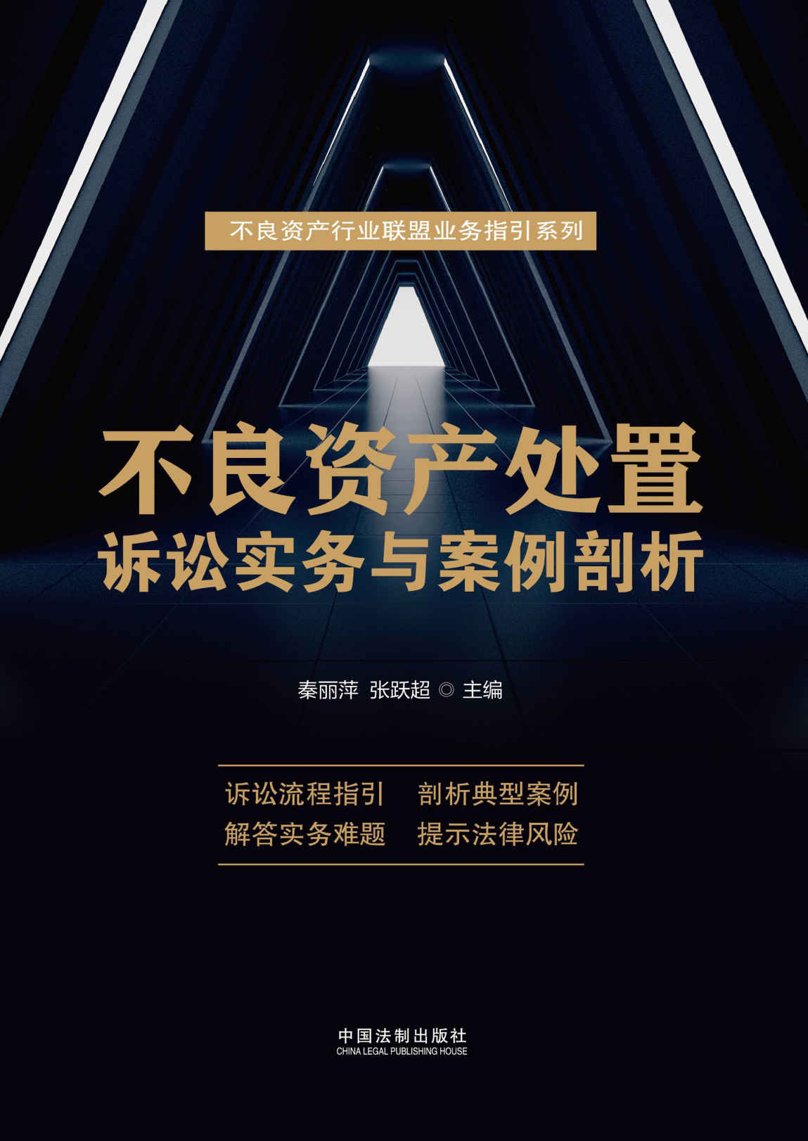 不良资产处置诉讼实务与案例剖析 (不良资产行业联盟业务指引系列)