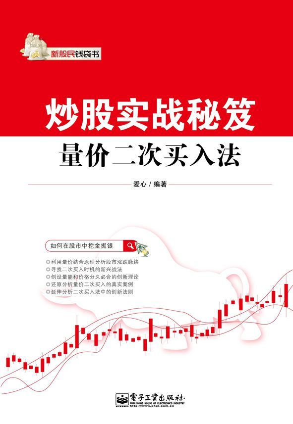 炒股实战秘笈：量价二次买入法 (新股民钱袋书)