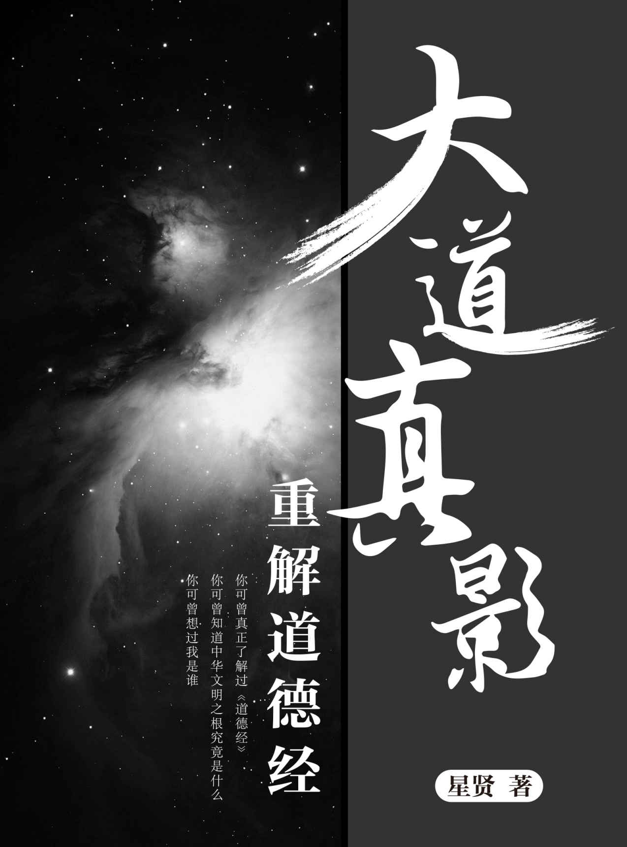 大道真影——重解道德经（你可曾真正了解过《道德经》？你可曾知道中华文明之根究竟是什么？你可曾想过“我”是谁？）