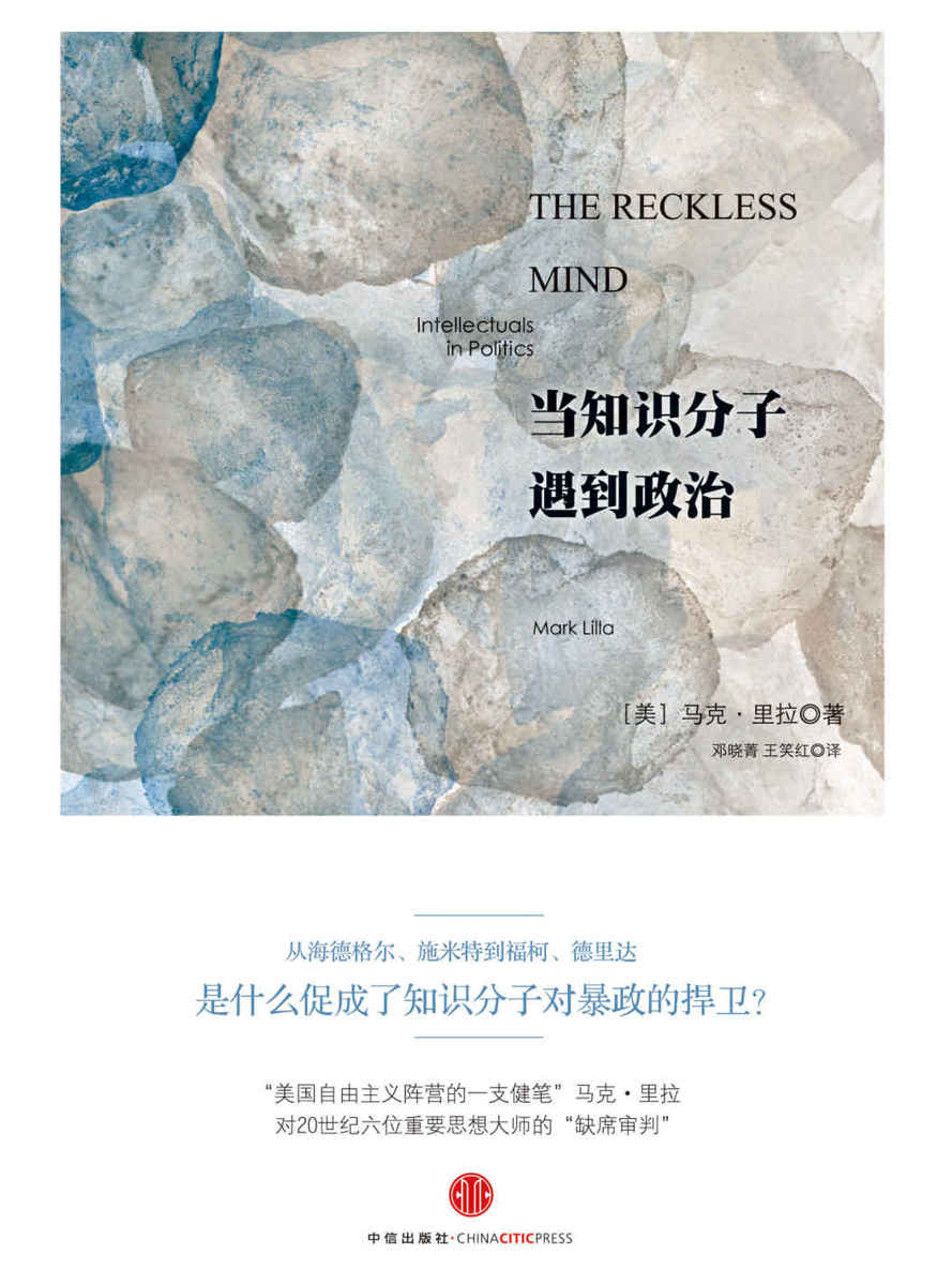 当知识分子遇到政治