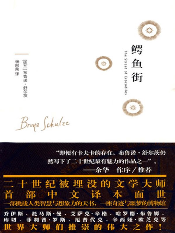 鳄鱼街