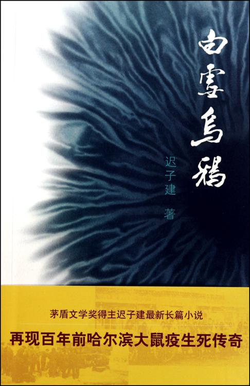 白雪乌鸦
