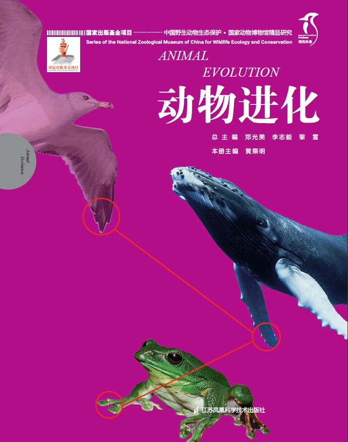 国家动物博物馆精品研究——动物进化 (中国野生动物生态保护 国家出版基金项目 理性科普)