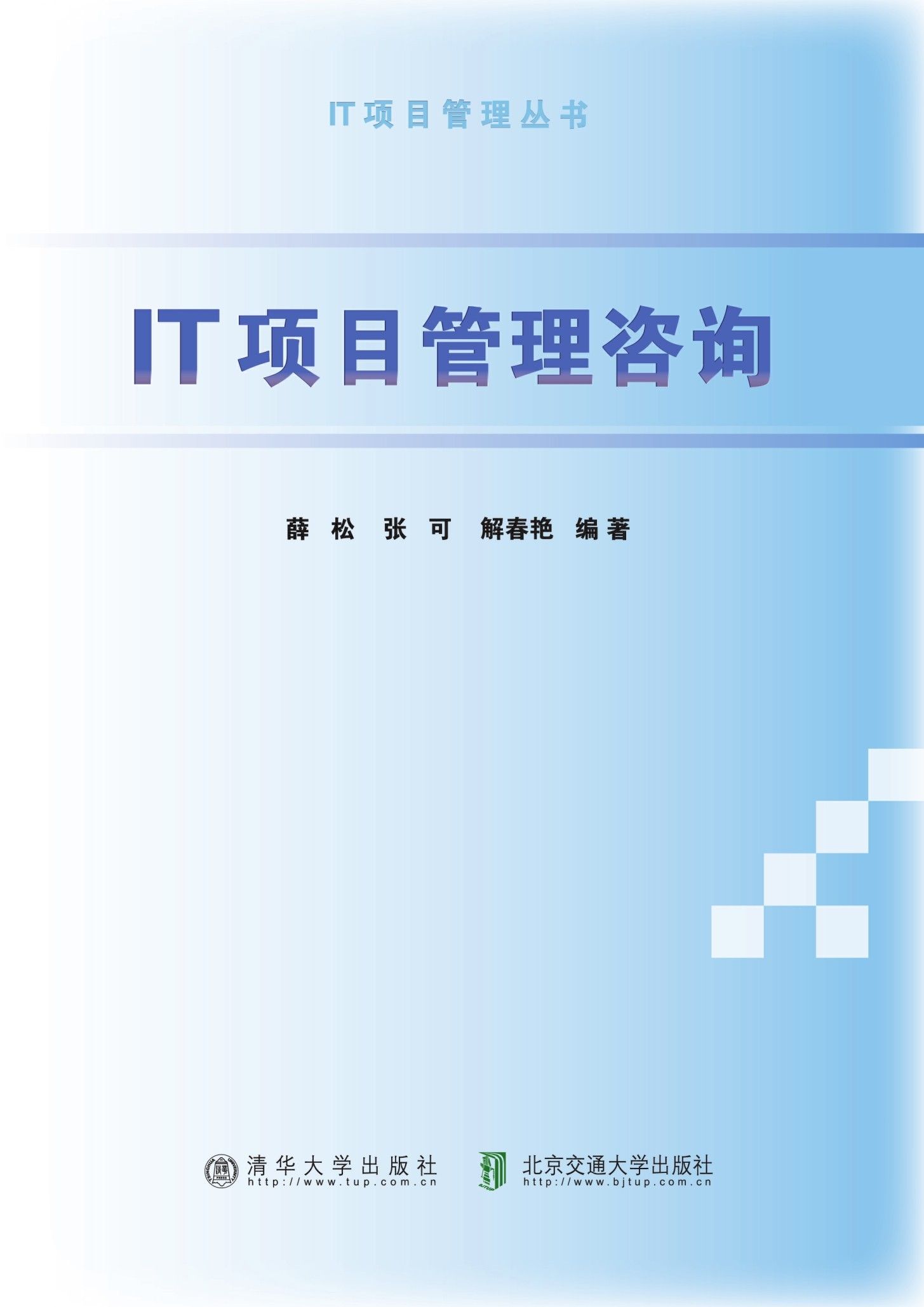IT项目管理咨询