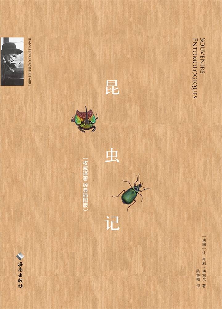 昆虫记（慢读系列，经典译著，精美插图版） (“慢读”系列)