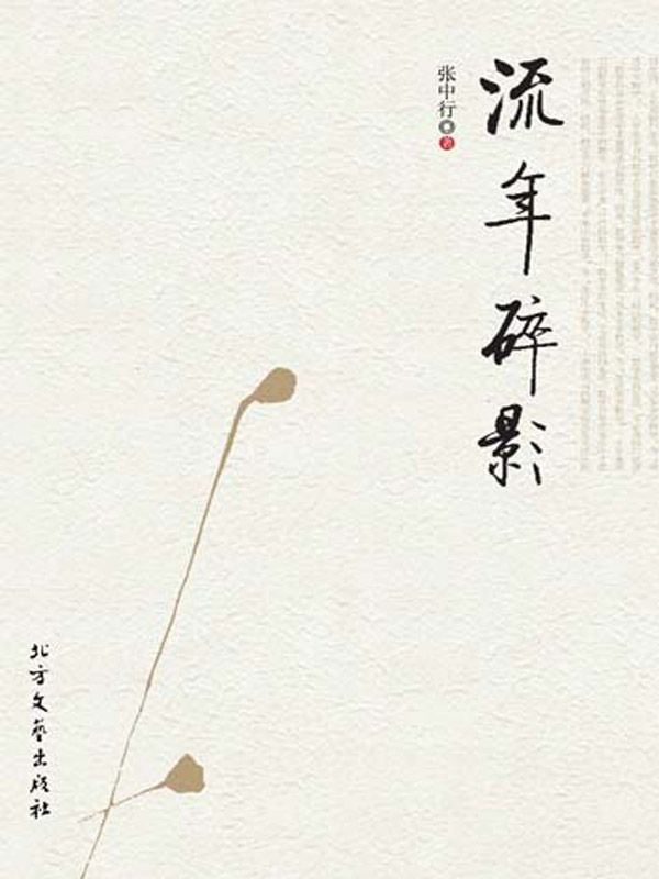 流年碎影 (大师书丛)