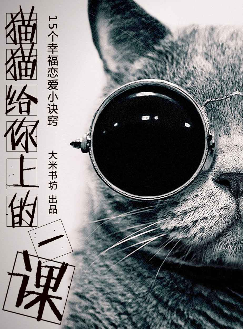 猫猫给你上一课——15个幸福恋爱小诀窍 (BookDNA情感书系)