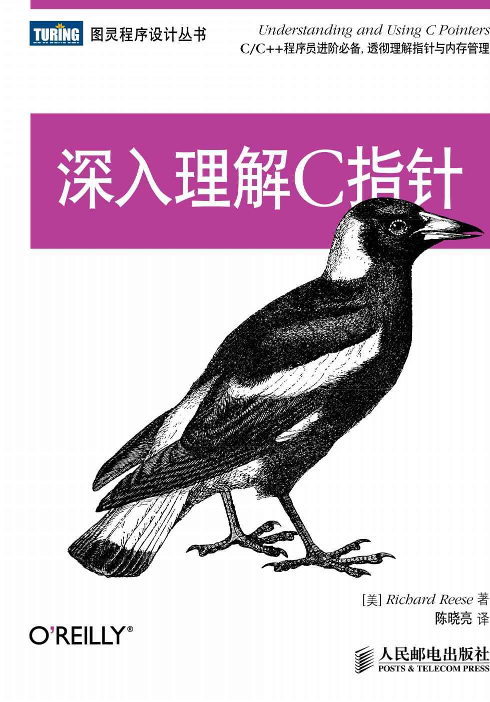 深入理解C指针 (图灵程序设计丛书)