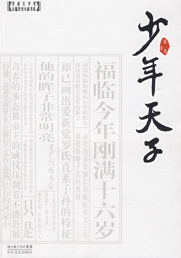 少年天子