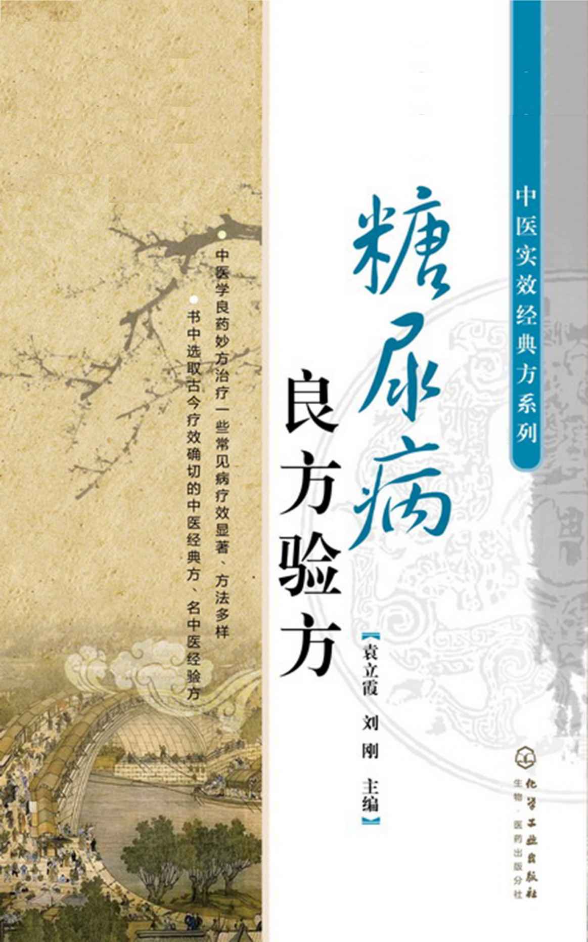糖尿病良方验方 (中医实效经典方系列)