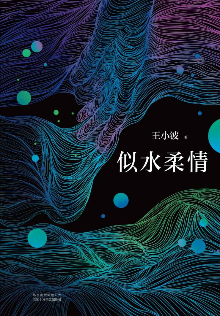 王小波：似水柔情（李银河独家授权，亲自校订全稿。经典短篇小说集，收录国际电影节最佳编剧奖《东宫·西宫》原著小说及剧本。）