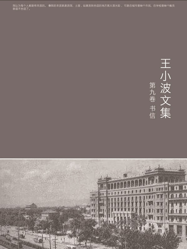 王小波文集-第九卷(作家出版社典藏版本)