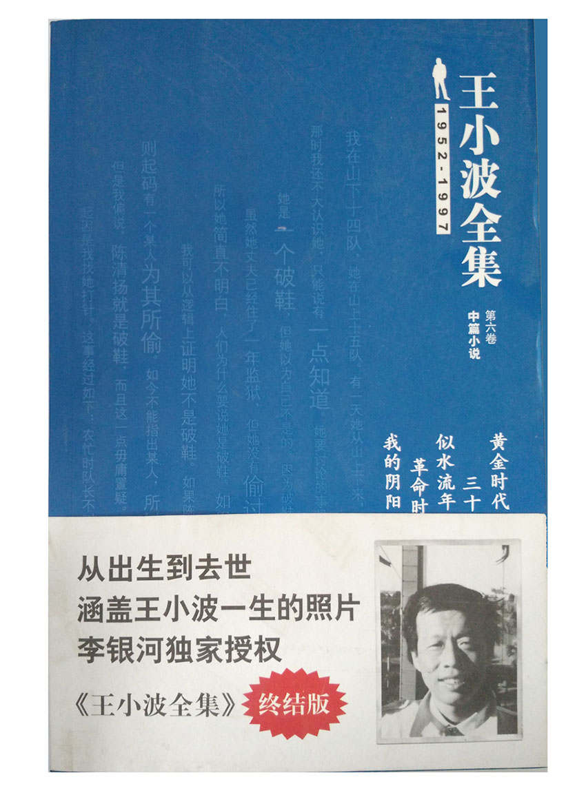 王小波全集(中篇小说)（第六卷）：黄金时代(终结版)