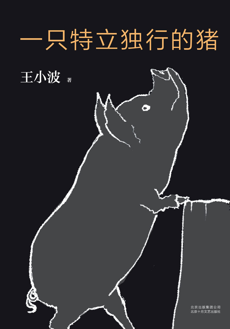 王小波：一只特立独行的猪