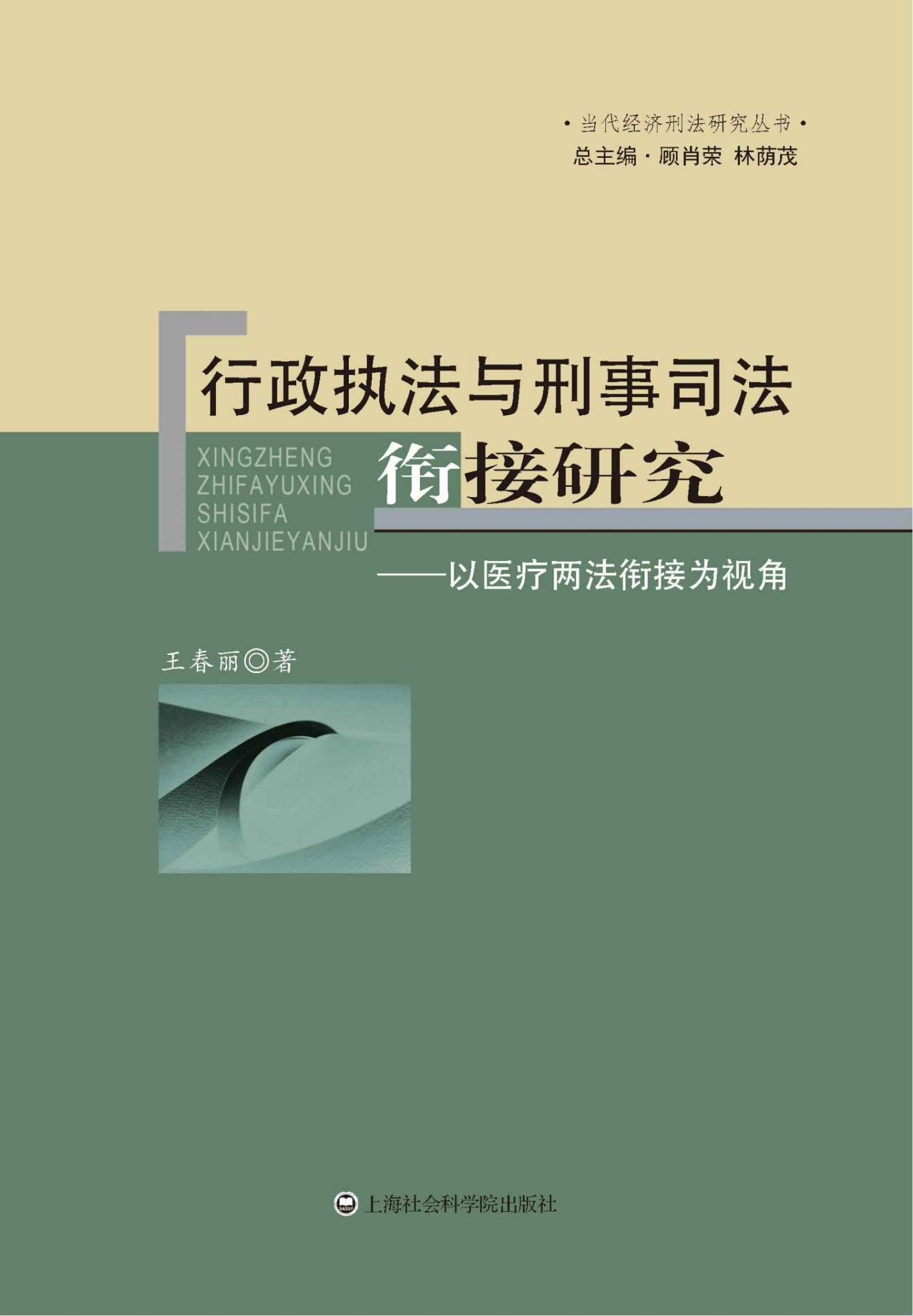 行政执法与刑事司法衔接研究:以医疗两法衔接为视角 (当代经济刑法研究丛书)