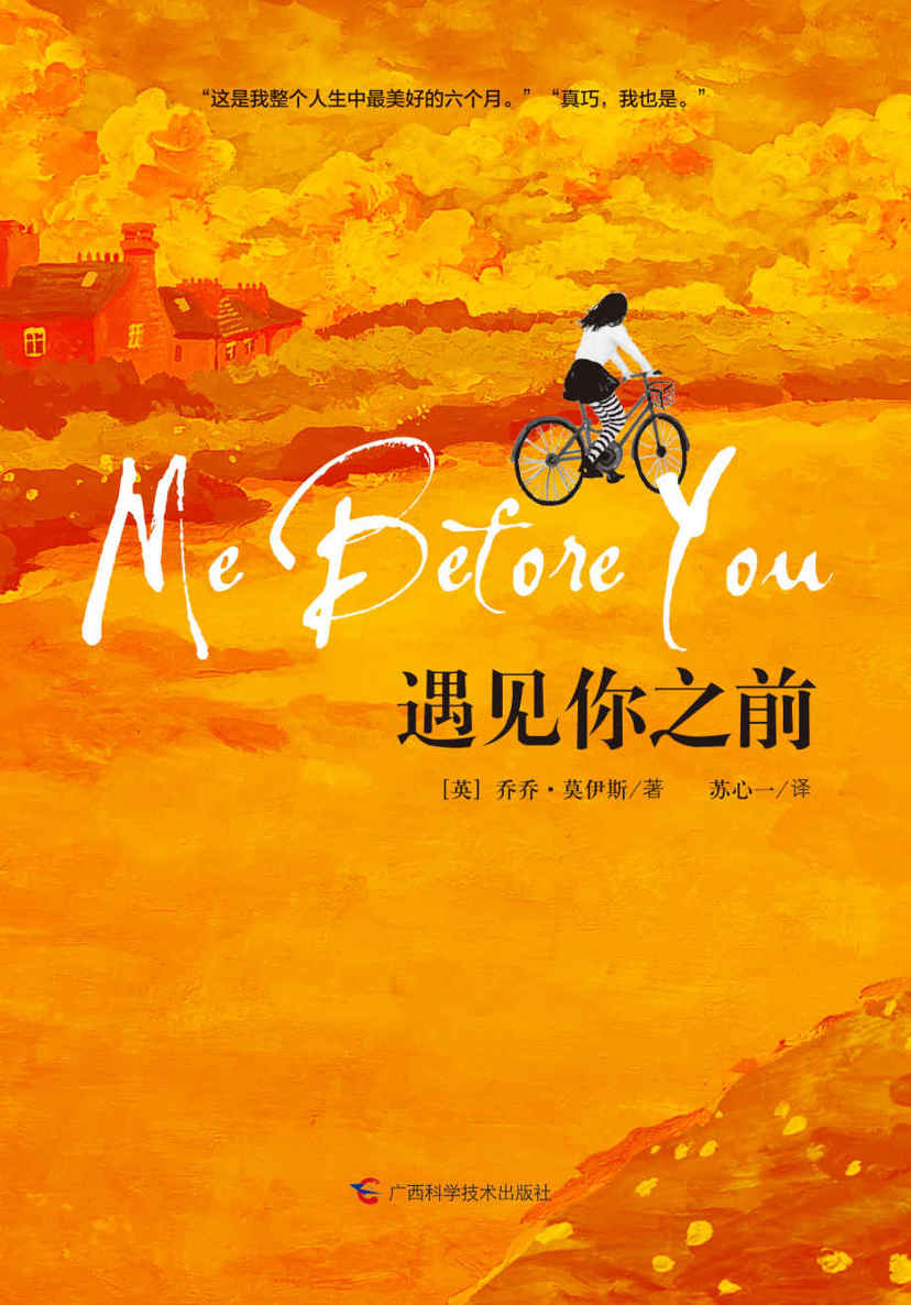 遇见你之前（连续“霸榜”英美主流图书排行榜多年，艾米莉亚·克拉克主演同名电影）