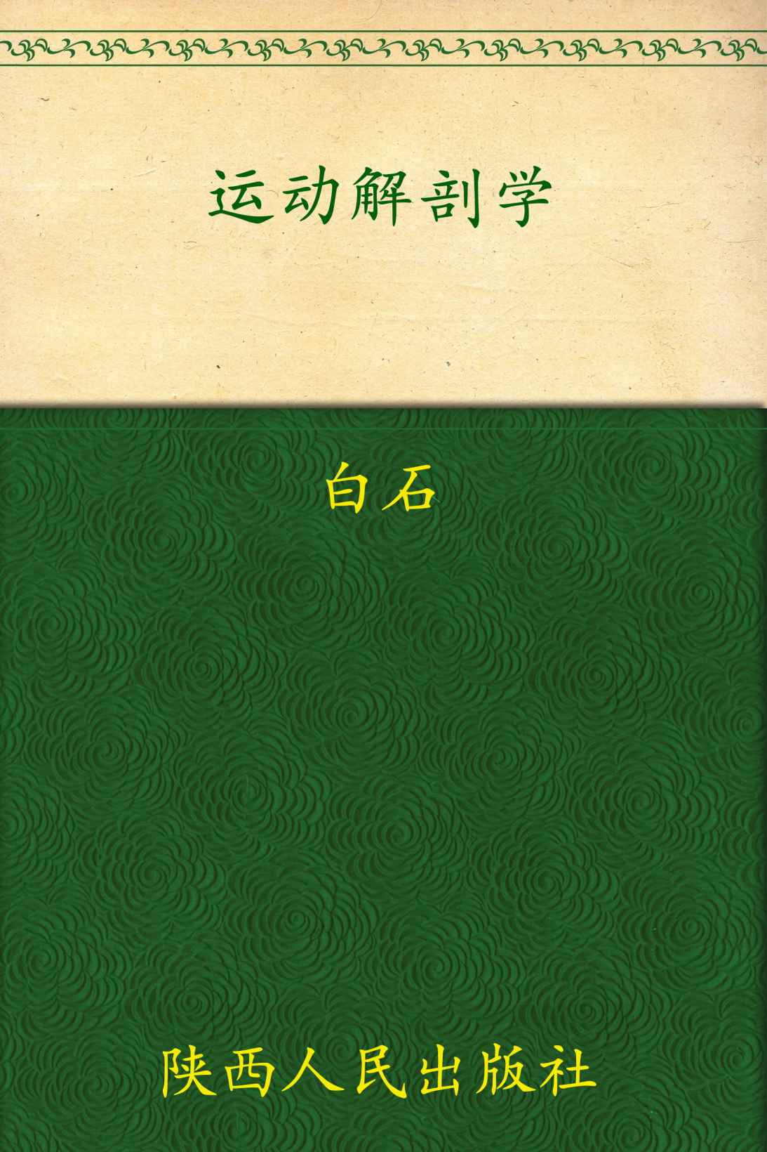 运动解剖学